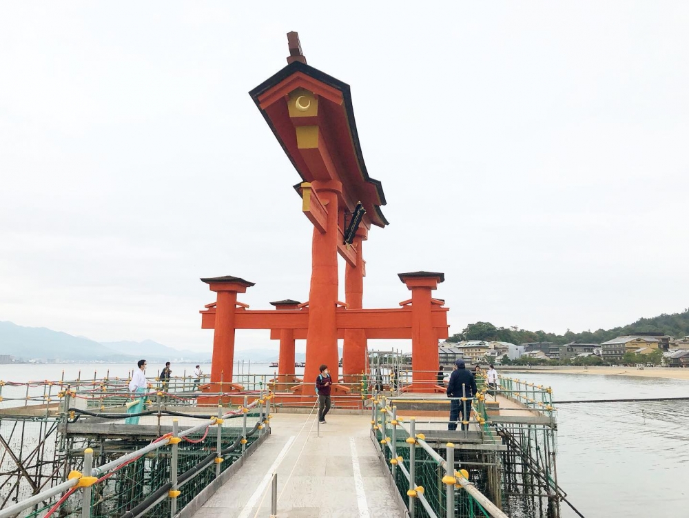 大鳥居於2019年中進行大維修，歷經3年半才終於完工！