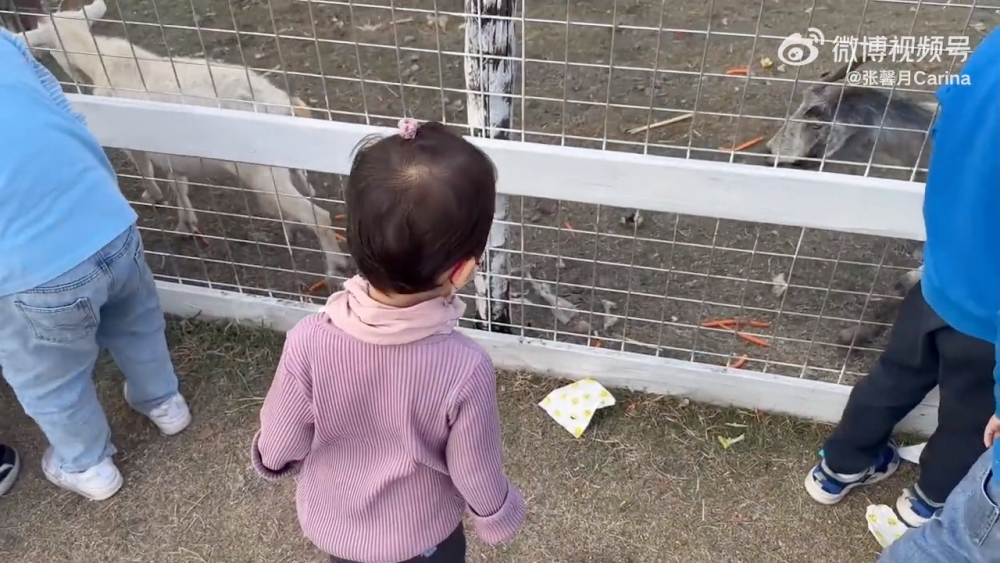 片中張馨月陪囡囡Luna與其他小朋友玩耍、看動物