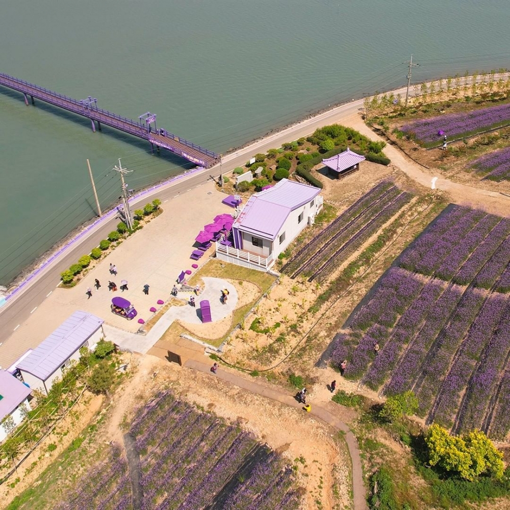 1004shinan_island IG