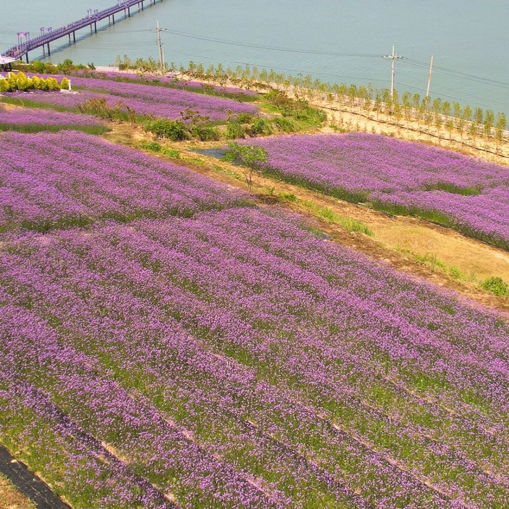 1004shinan_island IG