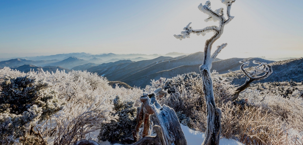太白山被譽為韓國的靈山～
