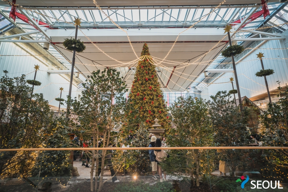 13米高的巨型聖誕樹超搶眼！