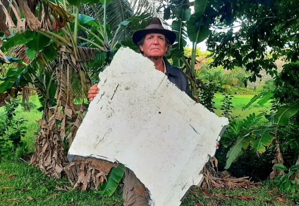 疑似「起落架艙門」嘅部分零件