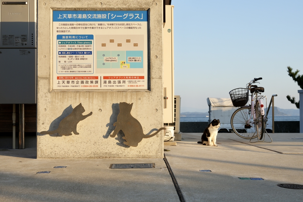 島上處處可見貓裝飾，就連路牌都有貓咪圖案，貓奴絕對會影相影到停唔到！