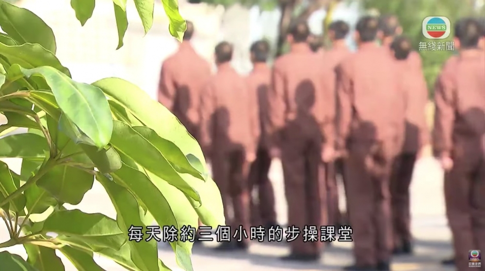 相信楊明喺呢18日都要日日步操。