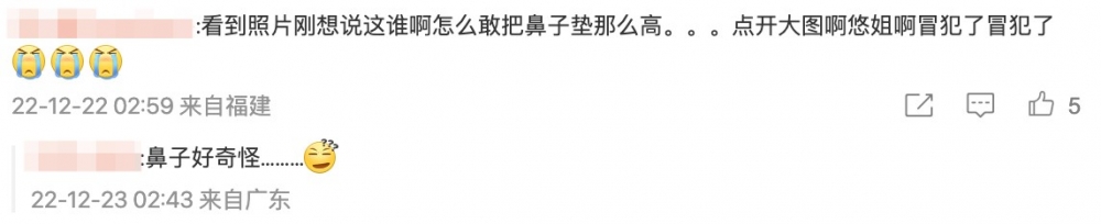 網民直言：「鼻子好奇怪」