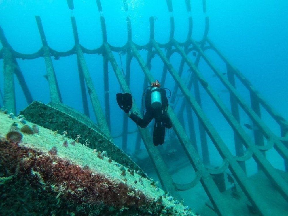 有別於一般的展覽，遊客可以進入溫室裡。