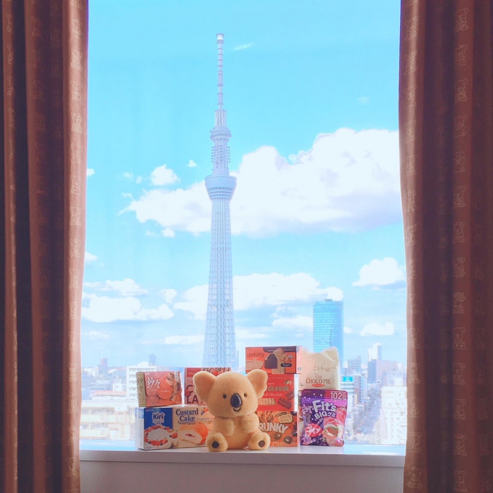 日本樂天熊仔餅酒店主題房窗簾上有365種不同表情和動作的小樹熊。