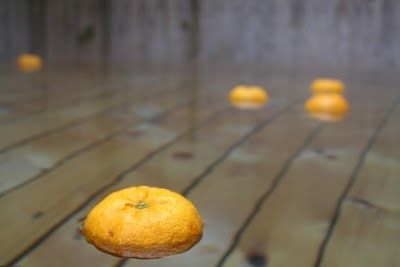 浸柚子浴一向係日本過冬至的傳統習俗。