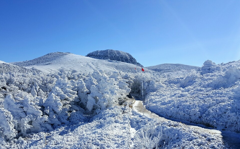 韓國冬季雪景推介：漢拏山