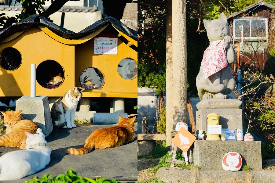 湯島設有唔少貓咪銅像、貓屋，真係好似「貓天堂」。