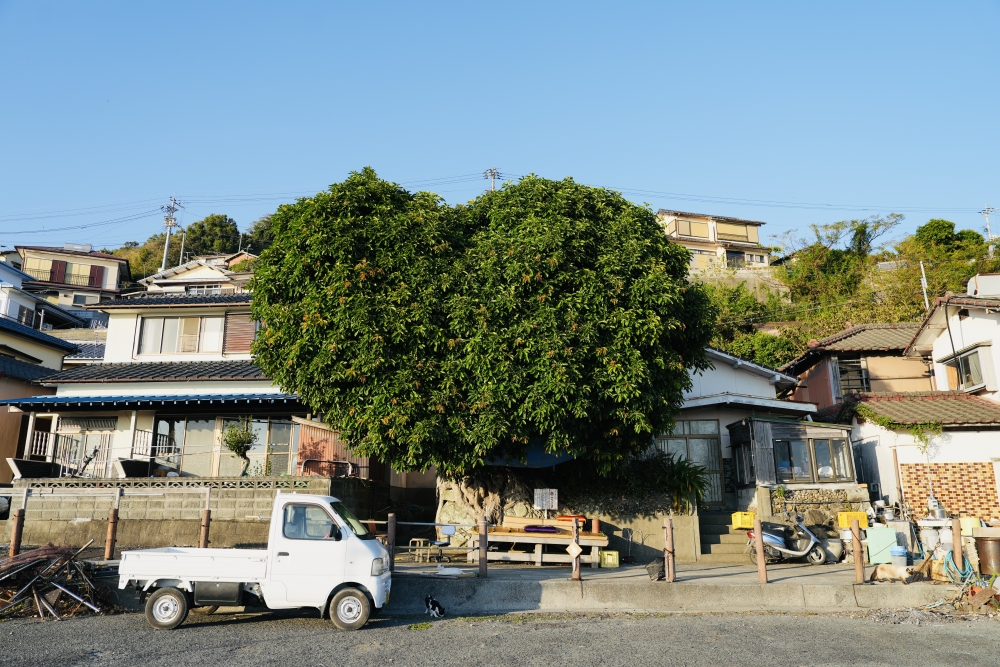 被視為戀人聖地嘅「♥の木」心型樹就喺碼頭不遠處，唔少日本情侶會喺呢到拍攝婚照！