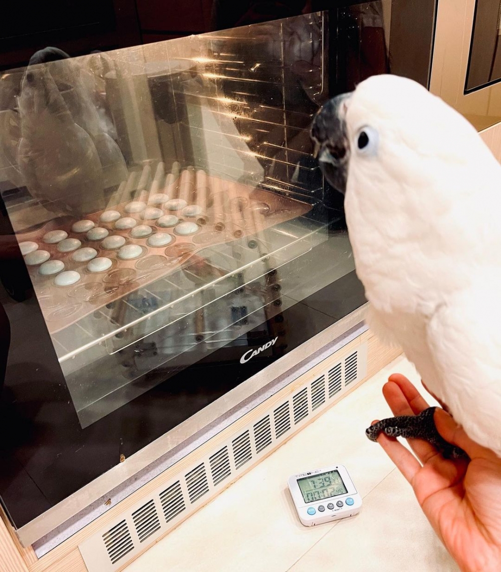 平日閒時心悠BB則中意烘焙