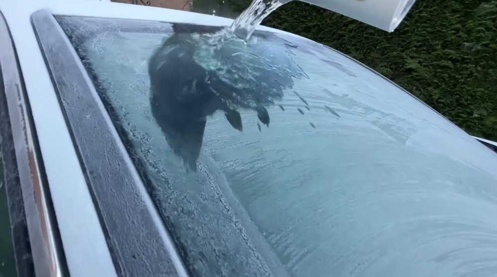 林子博每日車子女返學亦要用熱水沖一沖車窗,因為冬天車窗都結晒霜。