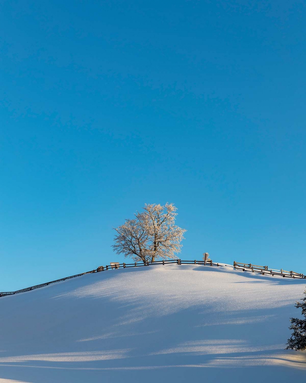 牧場非常寬敞，視野一流！