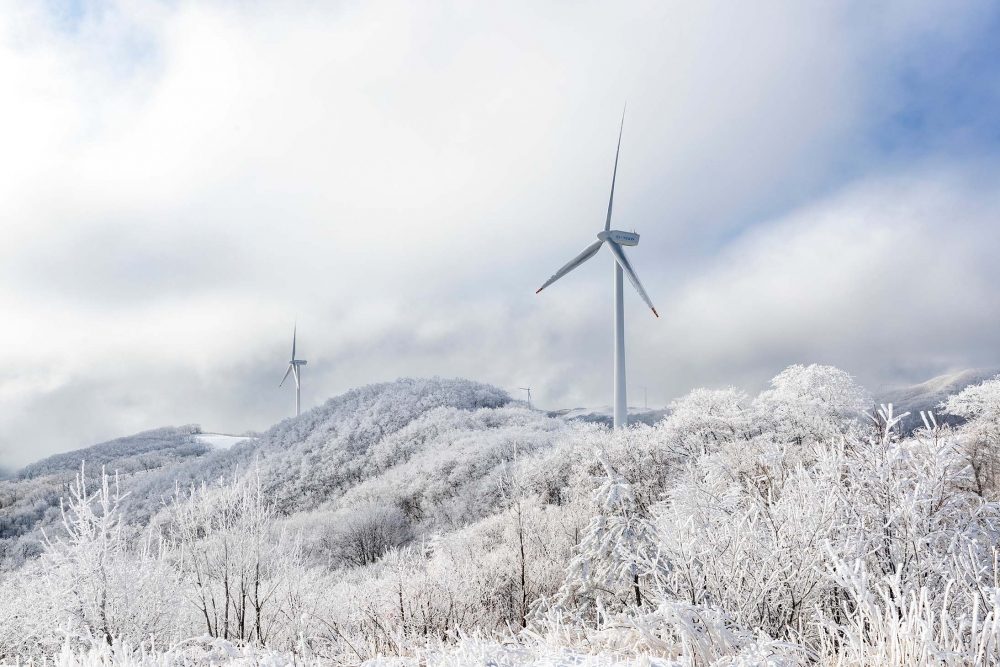 韓國冬季雪景推介：大關嶺三養牧場