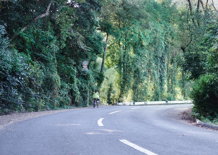 沿路景色有山有海，由於部分路段要上山，大家想再輕鬆啲就可以租用電動單車。