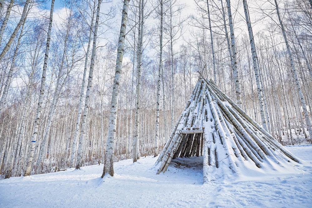 麟蹄院垈里白樺林係人氣超高的追雪熱點！