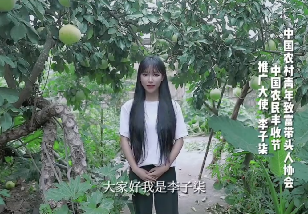 近日李子柒終公開露面，佢以「中國農民豐收節推廣大使嘅身份」拍片
