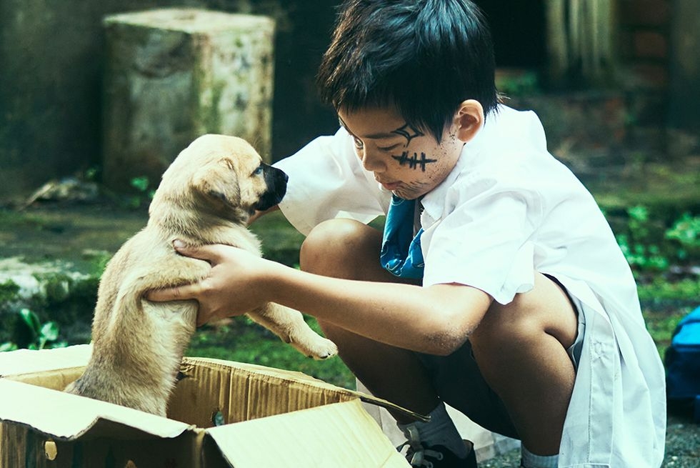 網友指樓主只交往兩個月怎麼會比得過要養一輩子的寵物