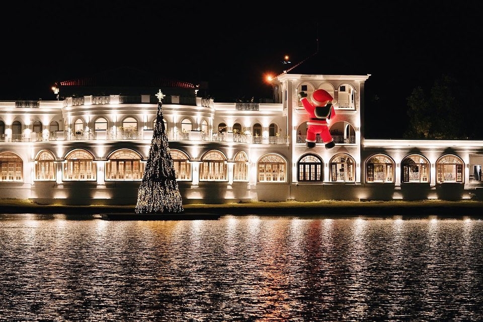 必打卡聖誕樹2022推介：大埔小白鷺_10米高華麗聖誕樹