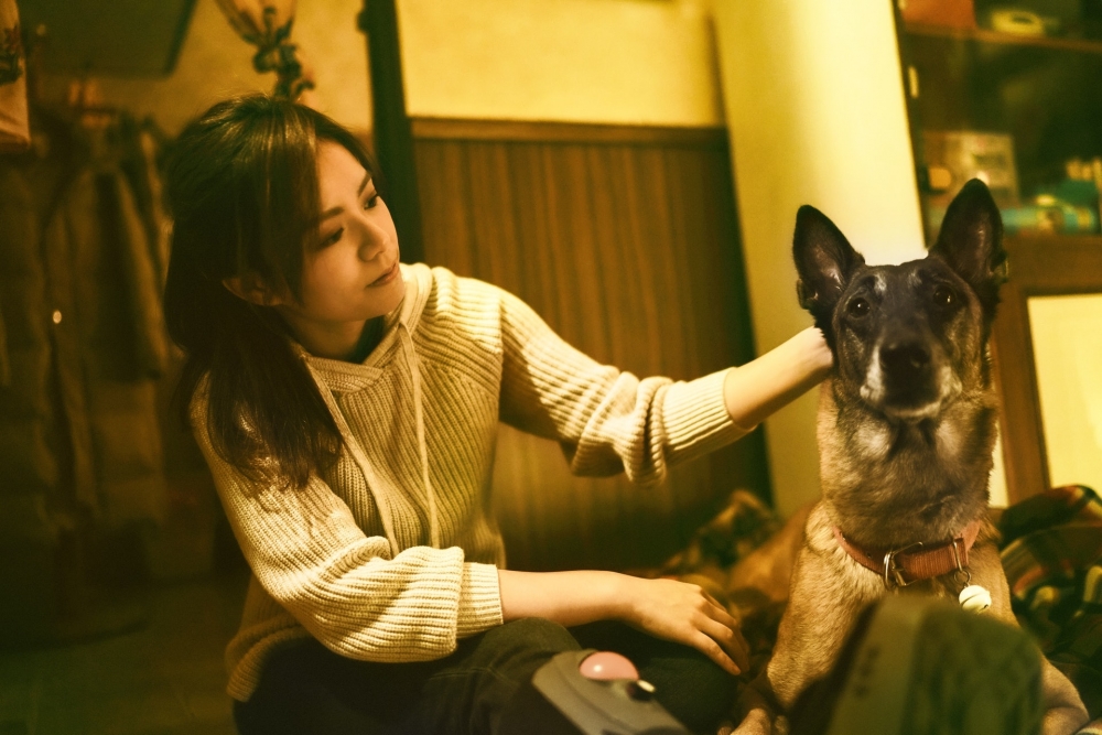 樓主指平常狗狗睡覺都跟女友睡在同一張床上