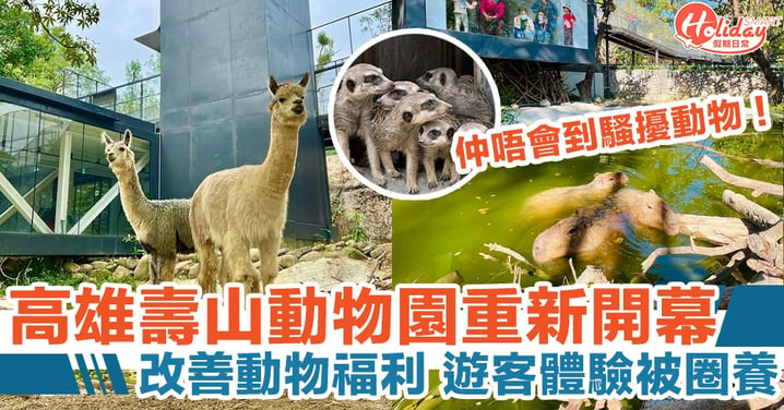 高雄壽山動物園重新開幕，改善動物福利，遊客體驗被圈養