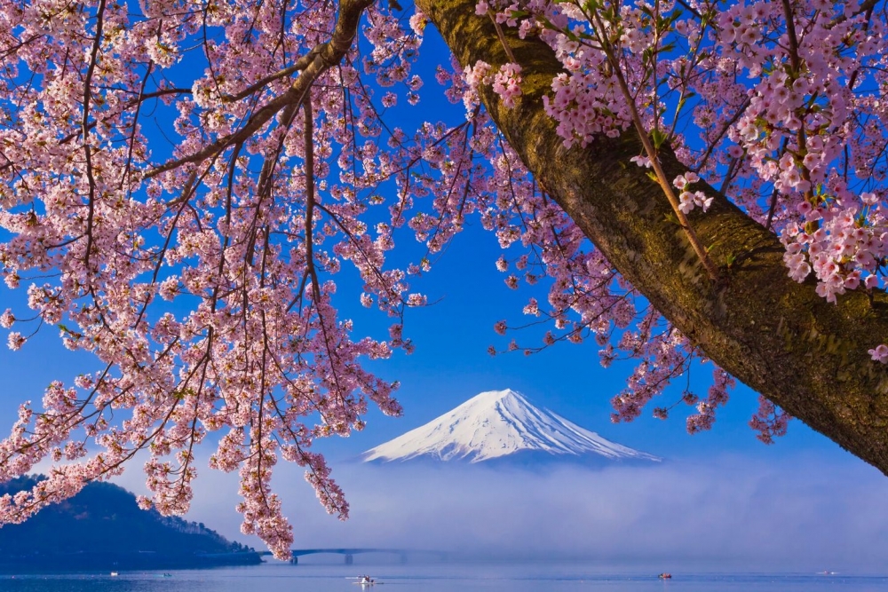 12月30日起,凡從內地入境日本的旅客,入境須接受檢測。