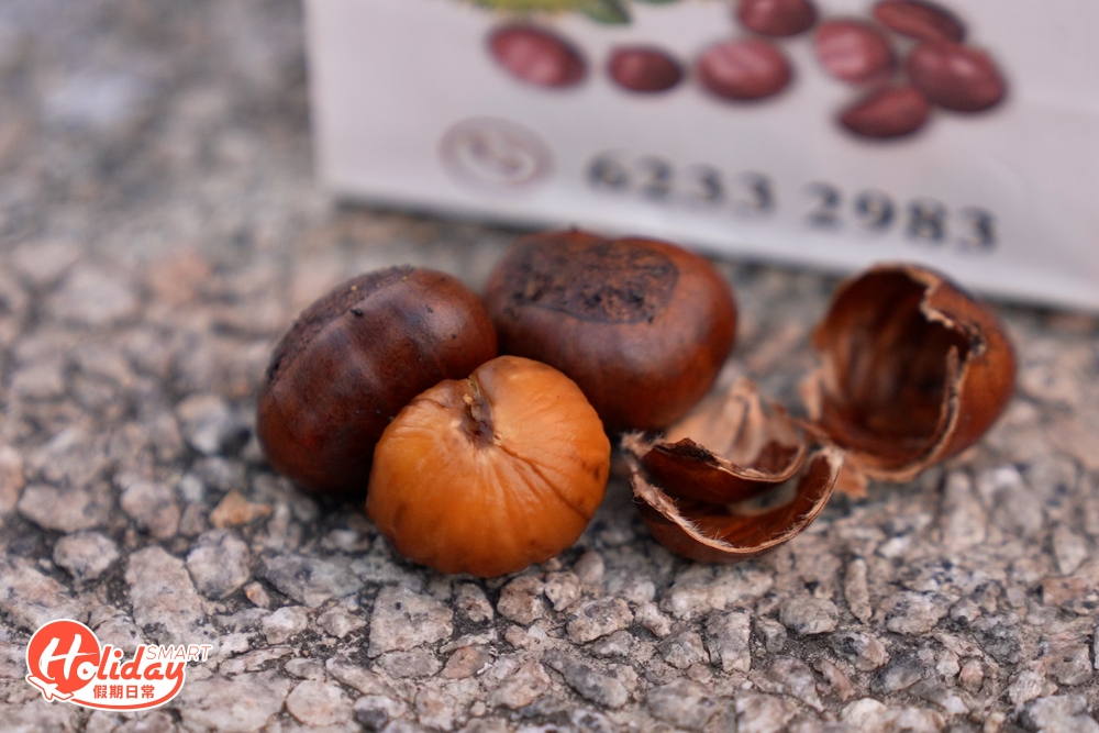 「要稱得上是好食栗子，要炒得好，炒得鬆化，栗子肉質較粉便屬好食」。