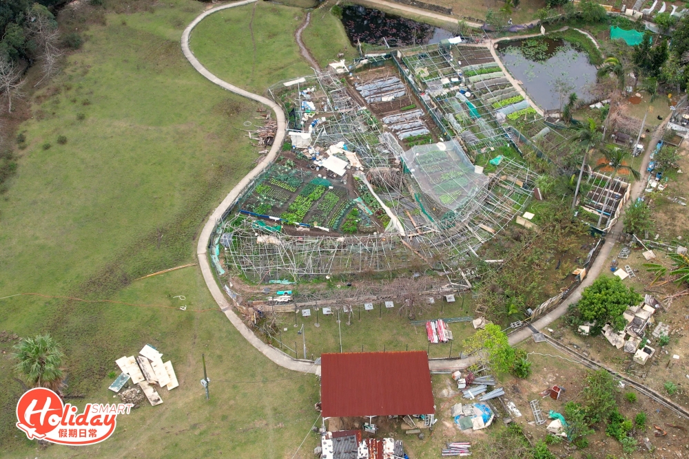 深井除了以燒鵝馳名之外，也是行山熱點。而深井清快塘路程簡單，起點至終點的距離約需30分鐘，而且大部分都是石屎路和樓梯，非常適合新手！