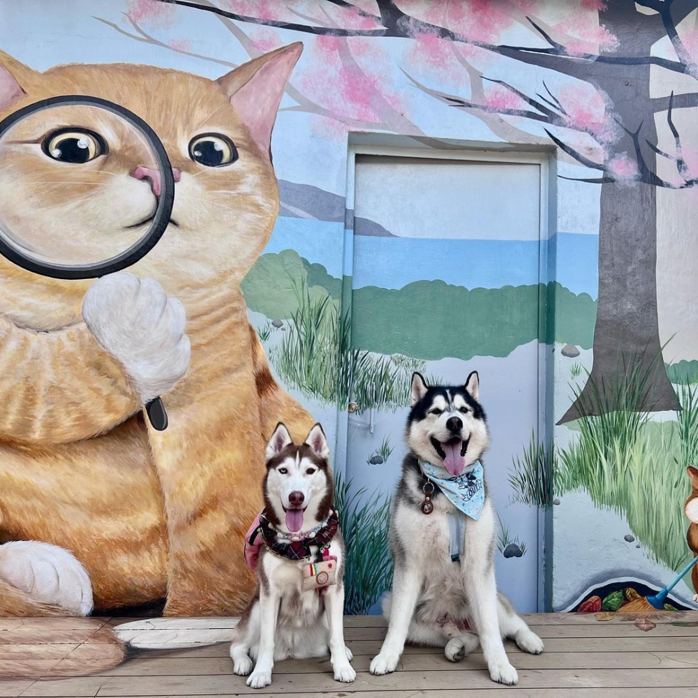 貓貓壁畫屋則由巨型黃貓坐鎮,黃貓造型趣緻,圓碌碌肥滾滾,各位貓奴必打卡!