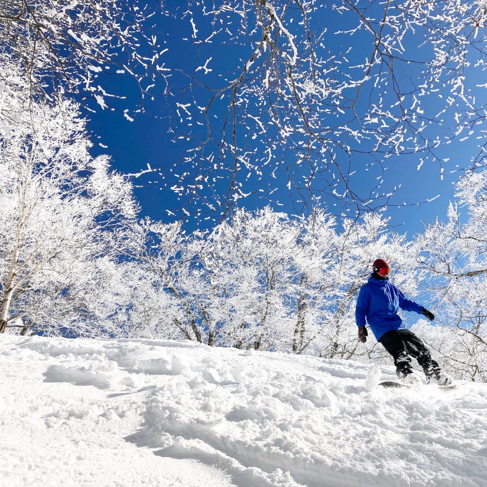 滑雪絕對係冬季去日本必玩項目！