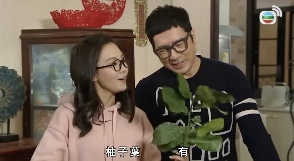 新年大掃除可以用碌柚葉水來清洗屋企傢俱和各個平時沒能打掃到的角落~