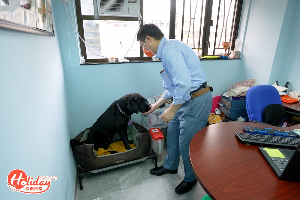 作為使用者的他，Rosa就如自己的女兒。