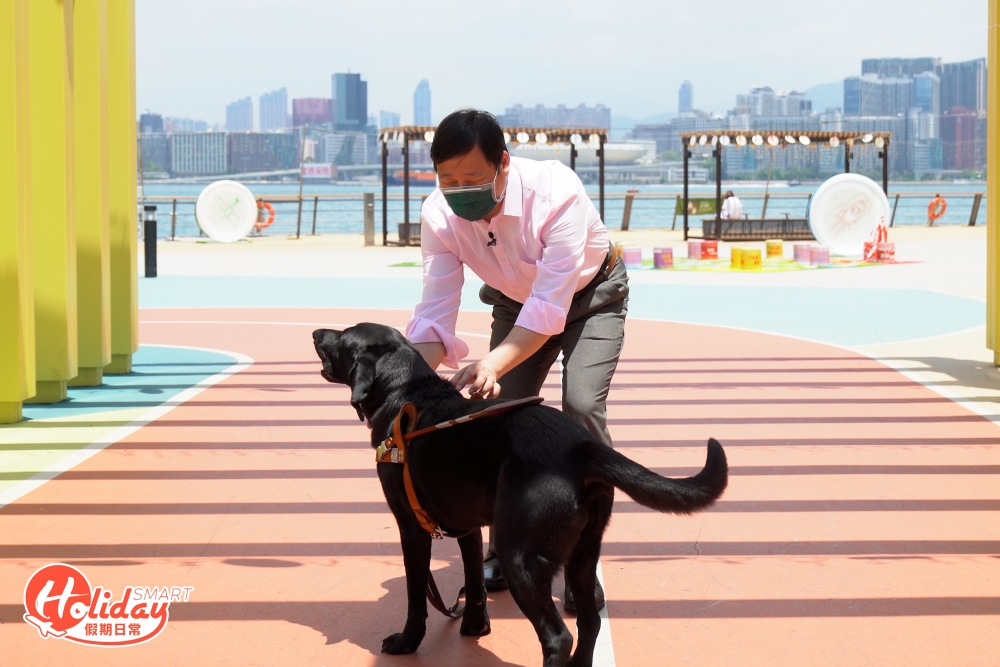 一般而言，導盲犬服務年期大約為10年，雖然Kim與Rosa只相處了4年，但Kim已經為Rosa日後做好打算。