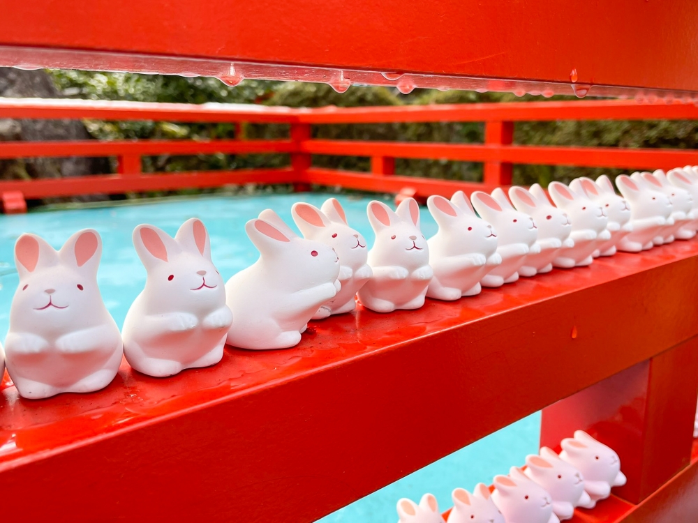有兔子神社之稱的岡崎神社成為兔年人氣神社之一!