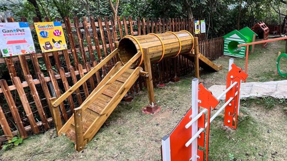 作為主人翁的毛孩們,公園中的所有設備當然要以牠們為主,毛小鎮內提供主子專用的玩樂設施,有齊跳躍圈環、滑梯、排水管道等。