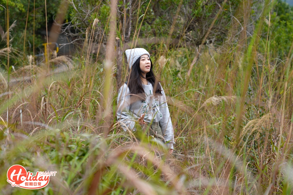 秋冬季節行山更會見到路邊兩旁的芒草。