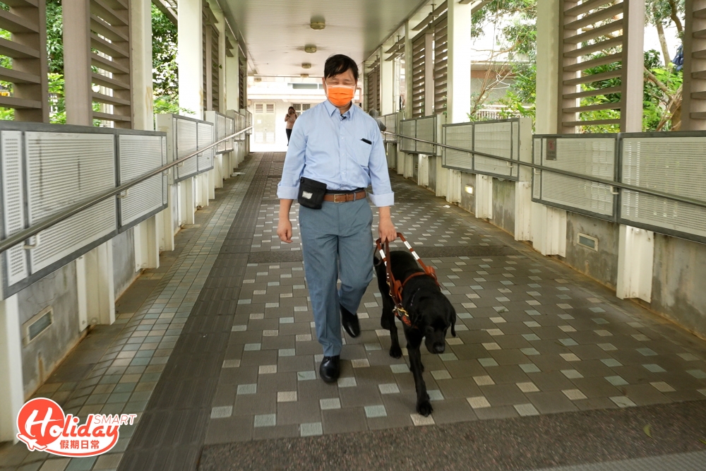 對於視障人士而言，導盲犬便是他們的雙眼、明燈、甚至是好夥伴，於日常生活中更是密不可分的關係。