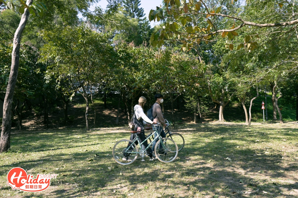經過將軍澳跨灣大橋，跨過「清水灣半島」對出海域，沿著將軍澳單車徑往寶琳方向一直踩，大約15分鐘左右，便會來到在將軍澳單車館附近一個無人小草原，草地不算大，但勝在少人往來，只要拿捏好角度，便可以拍攝出如森林般畫面。