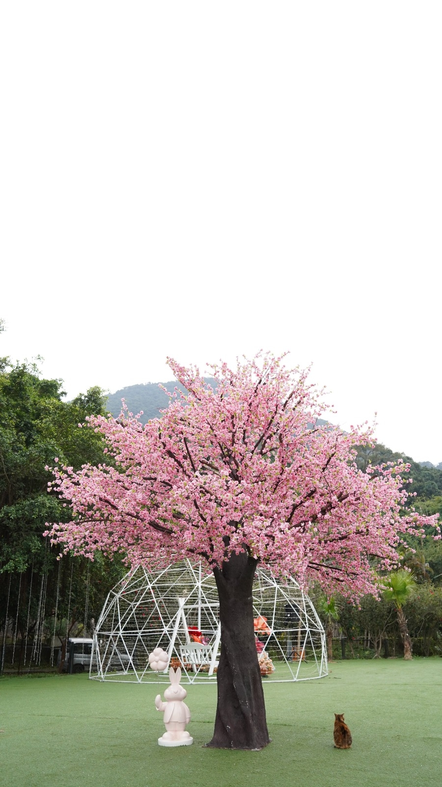 幾乎走到每個角落都能欣賞到大會用心的新春裝飾，當中焦點之一就是6米高的巨型桃花樹，粉紅桃花燦爛盛放，象徵於新一年帶來希望與幸福，讓大家一沾「桃花運」。