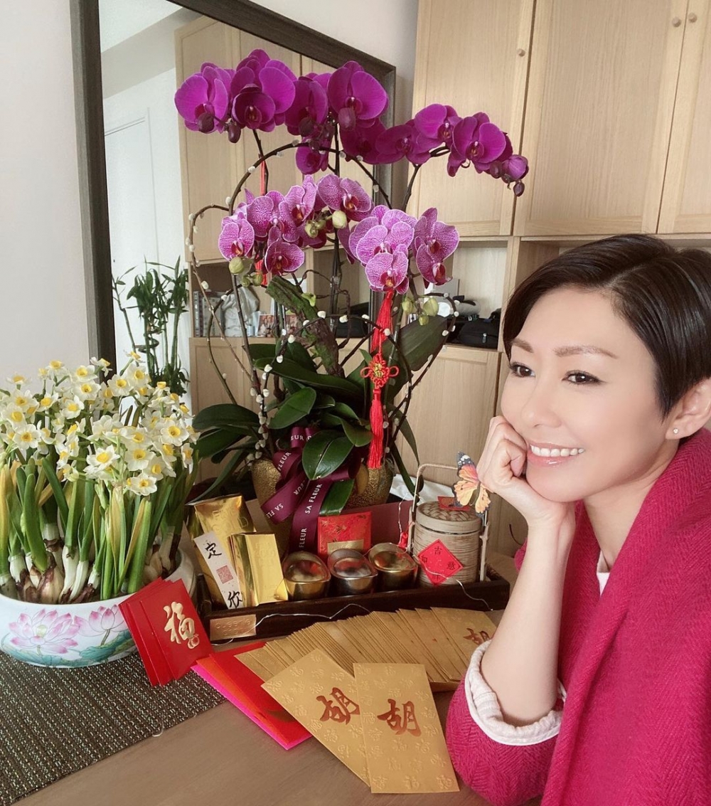 蝴蝶蘭象徵富貴吉祥。