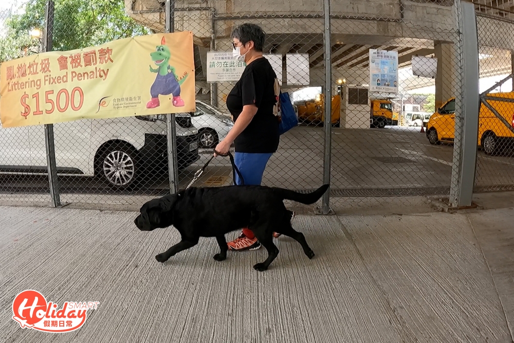 本來已經喜愛動物的Cynthia趁著退休才開始成為寄養家庭，Rosa是她第二隻幫忙照顧及訓練的導盲犬。
