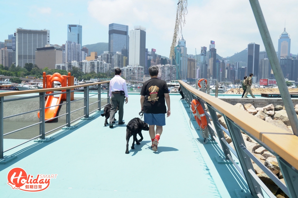 「Rosa就如我家嫁出去的女兒，初時真的非常心掛掛，想知道Rosa於新家庭過得如何、習慣與否。」