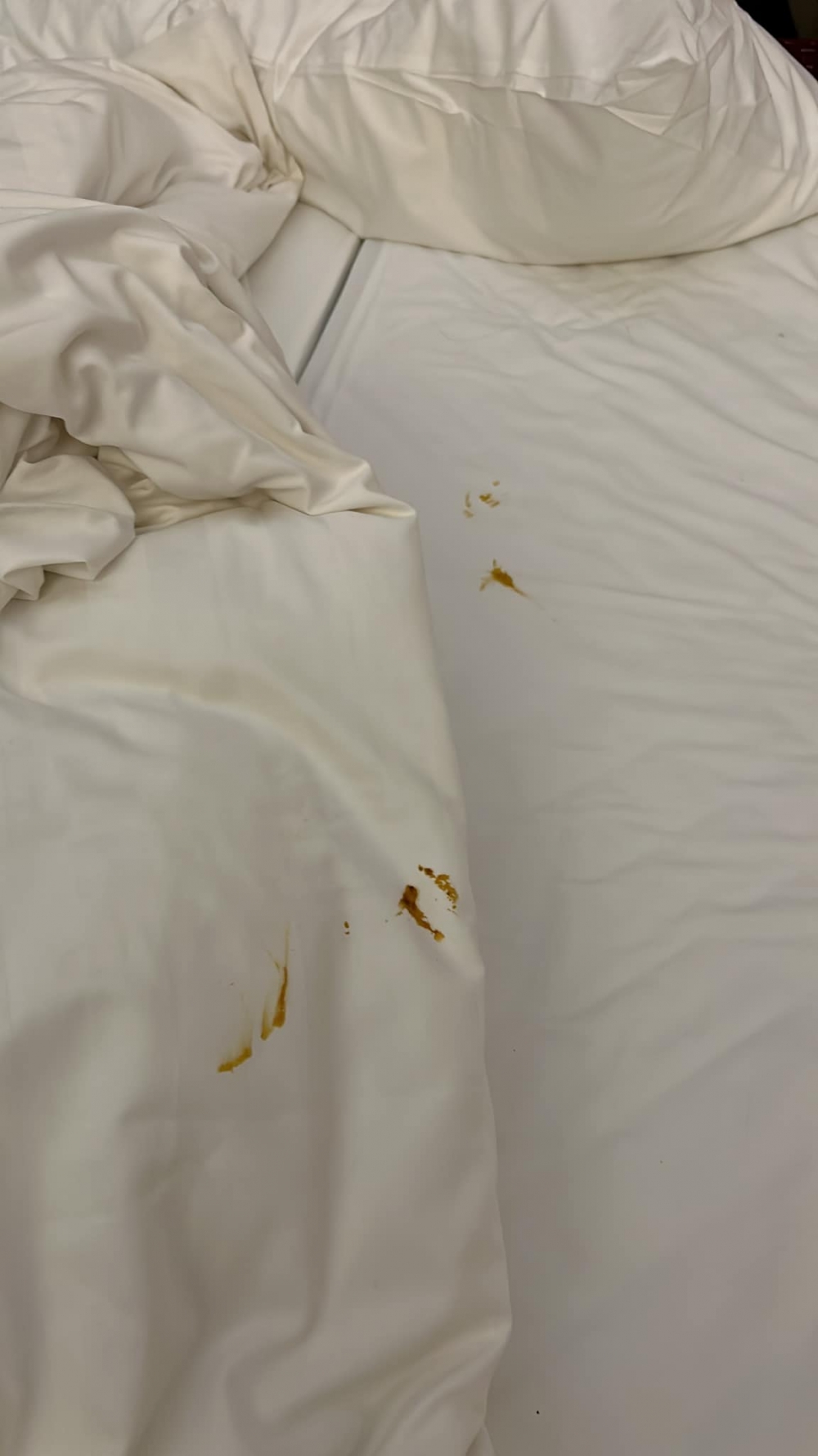 蔡先生發現床上有啡色污漬。