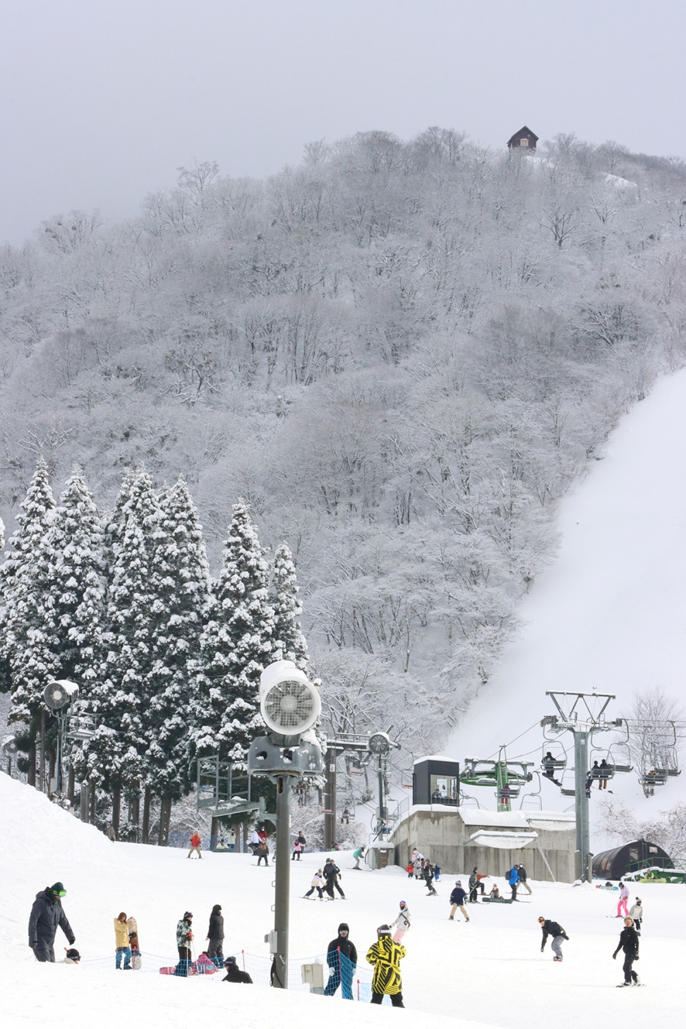 關西最大滑雪場「GRANSNOW奧伊吹」位於積雪量世界第一的伊吹地區。