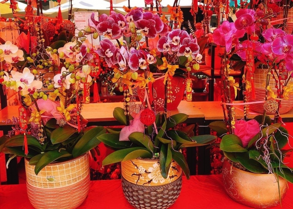 新春年花限定店!
