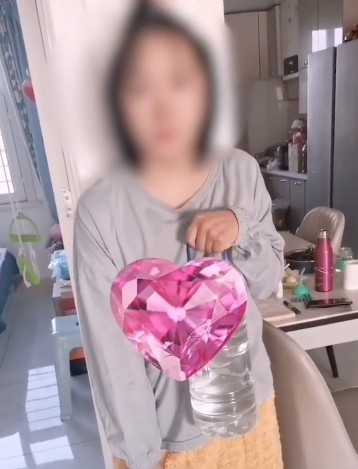 吳女士稱妹夫根本唔理妹妹:「她對象也不管了。」