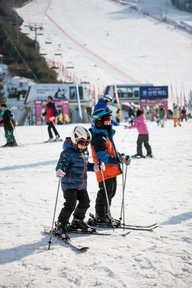 小朋友都可以盡情感受到滑雪的樂趣!
