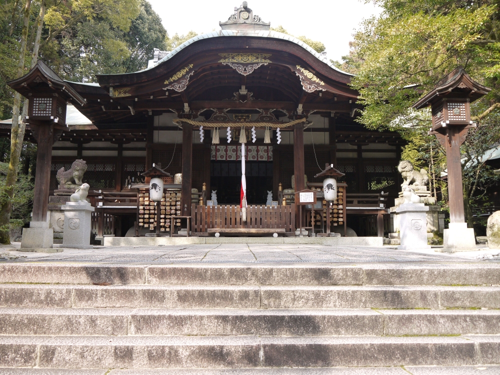 岡﨑神社的守護者由可愛的兔子擔任~